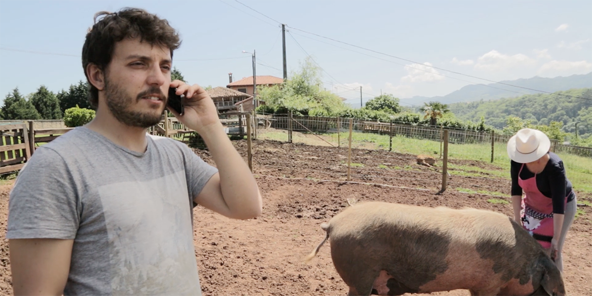 Caja Rural de Asturias, trabajo de campo