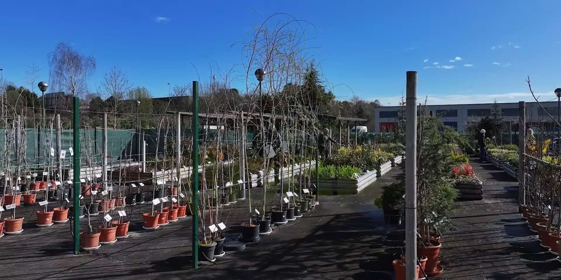 En la flor de la vida