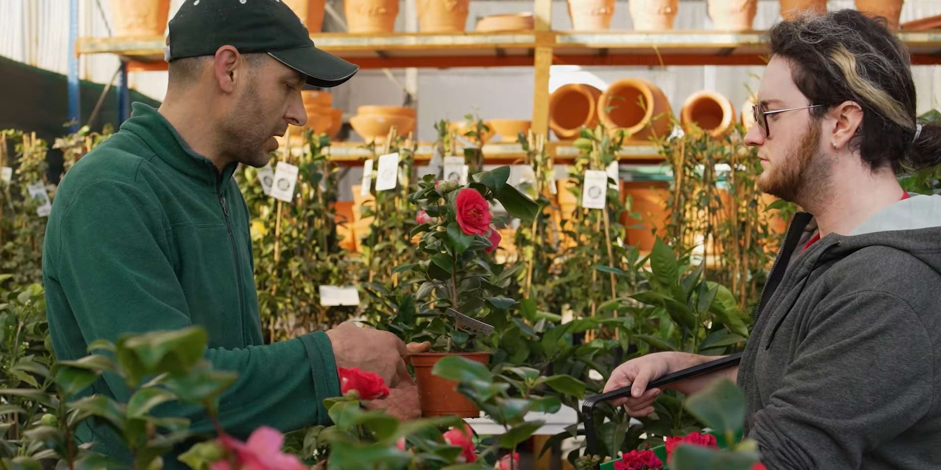 En la flor de la vida