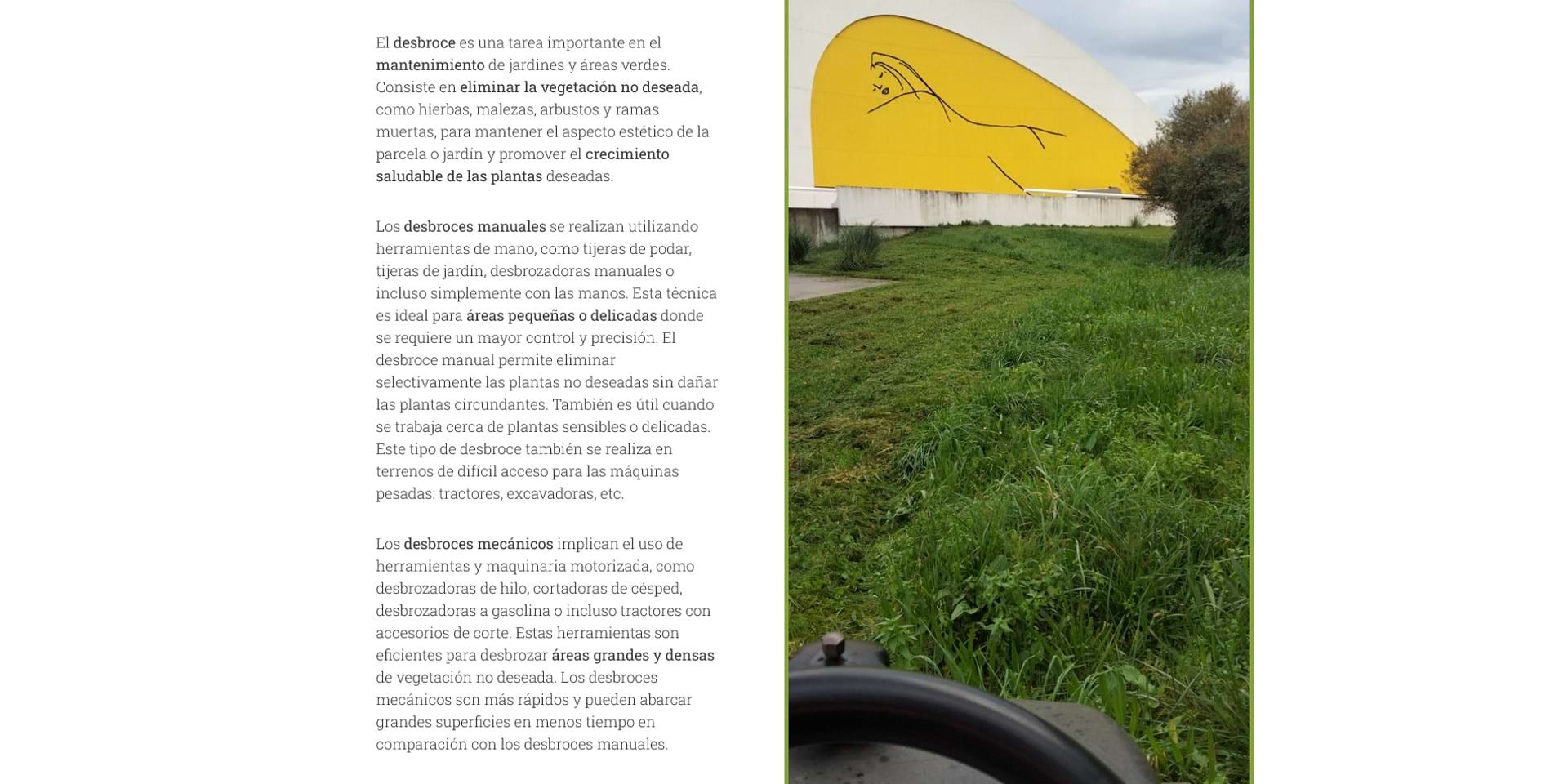 Una delicia de jardín