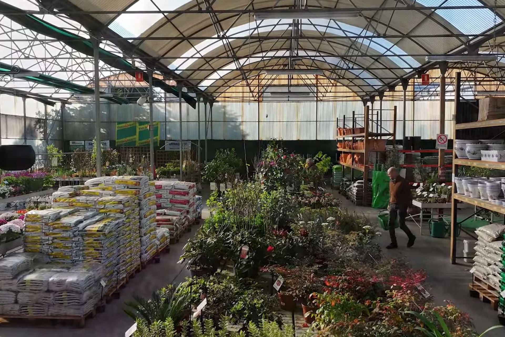 En la flor de la vida