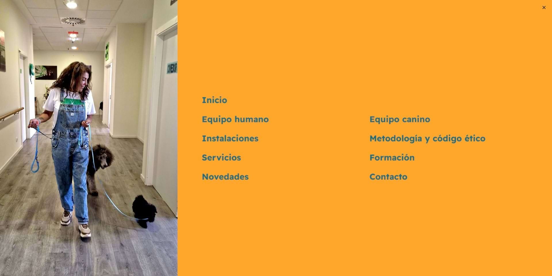 Un perro de cine
